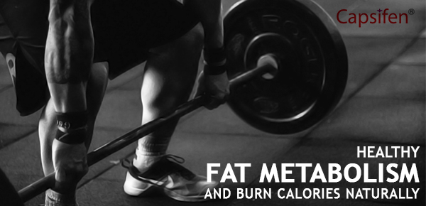 fat metabolism