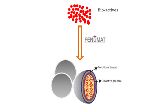 fenumat