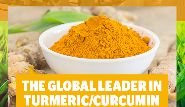 Worlds largest turmeric manufacturer