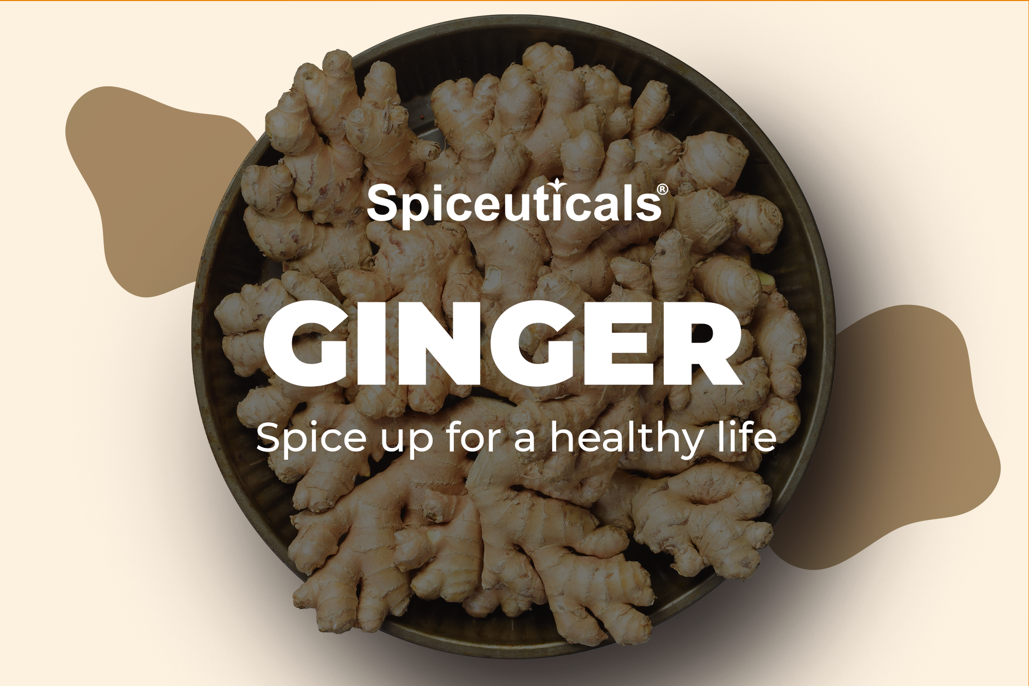 Ginger extract