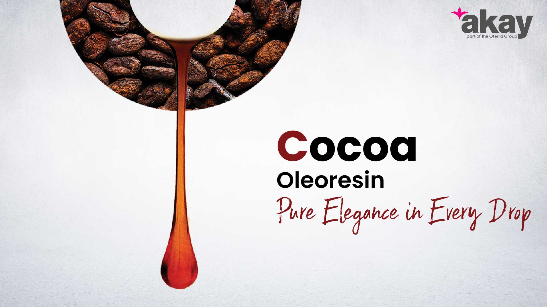 Cocoa Oleoresin