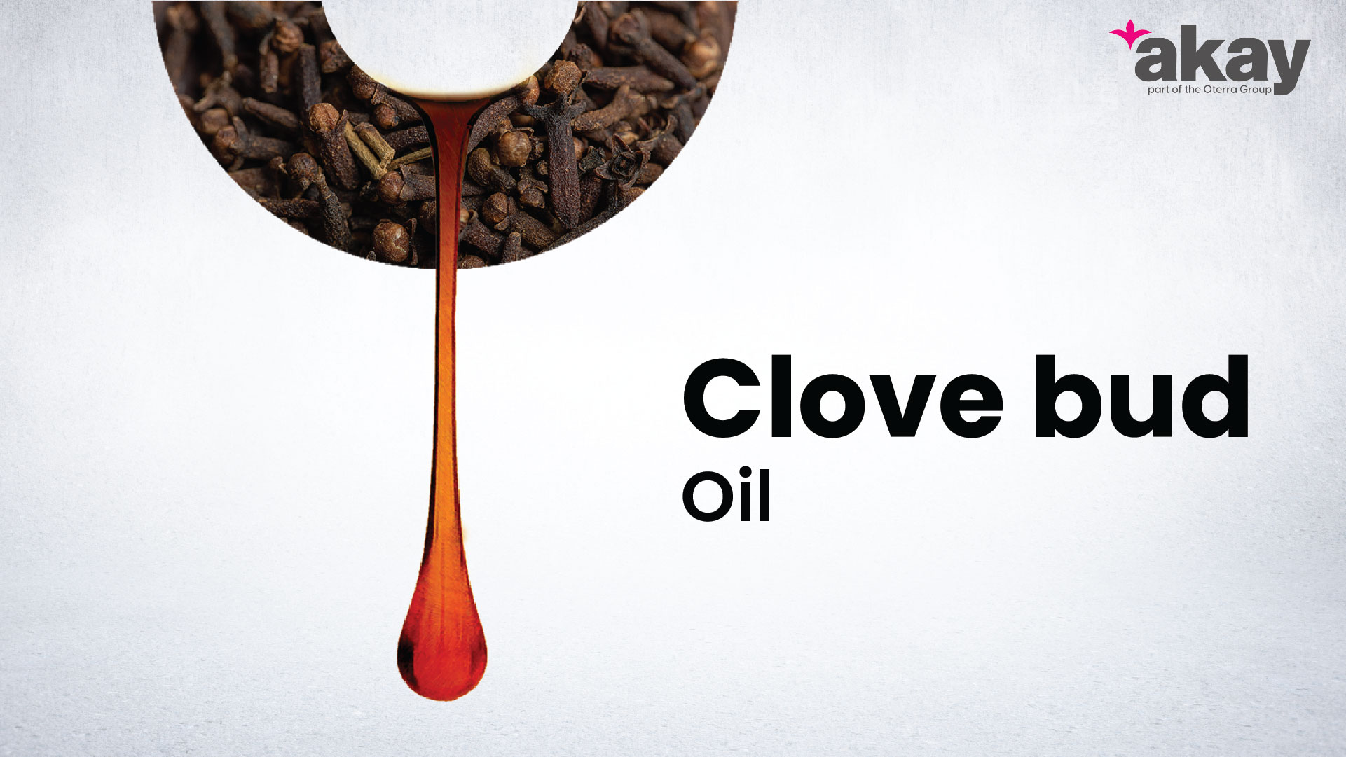 clove bud oil manufacturer