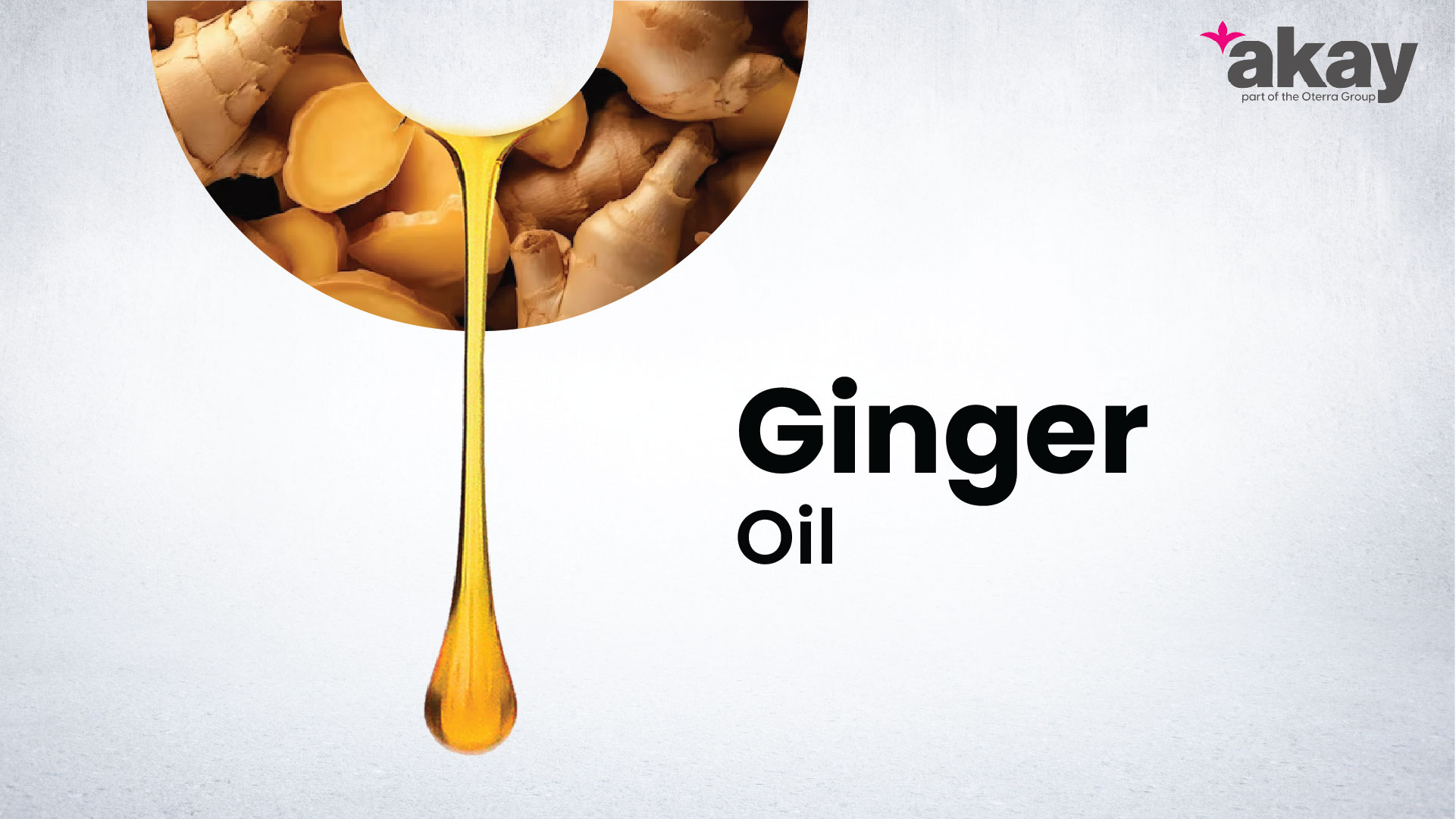 Ginger Oil Manufacturer