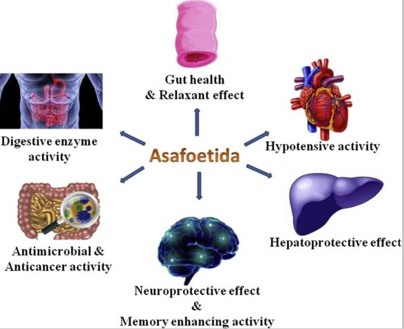 Digestive Day 2022