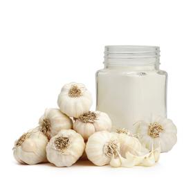 Garlic