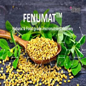 FenuMAT Technology