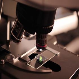 Nutraceutical Manufacturing 