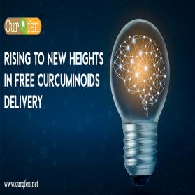 Natural brain bioavailable curcumin