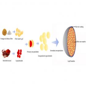 Fenumat technology