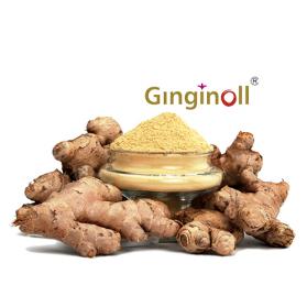 Ginger Extract