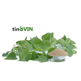 Tinospora Extract