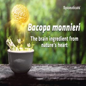 Bacopa extract 