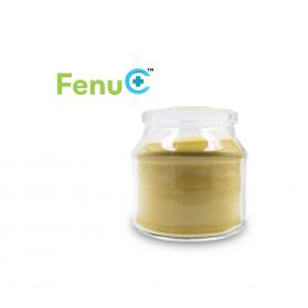 Innovative bioavailable vitamin c