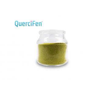 Bioavailable quercetin