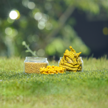 Nutraceutical Ingredients